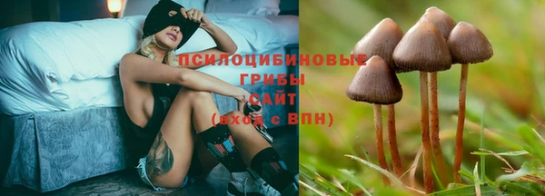 соль курить ск Новозыбков