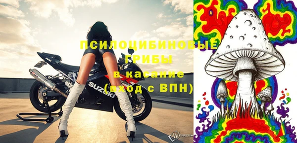 дживик Новокубанск