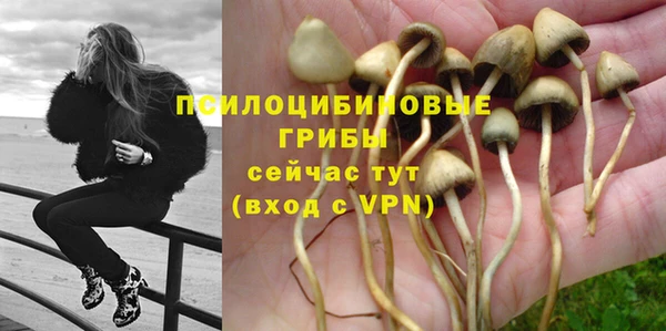соль курить ск Новозыбков