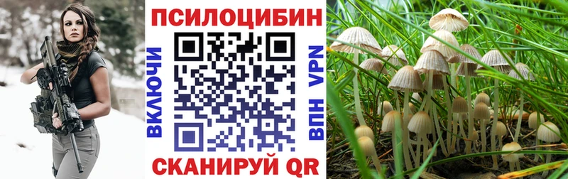Галлюциногенные грибы MAGIC MUSHROOMS  Щучье 